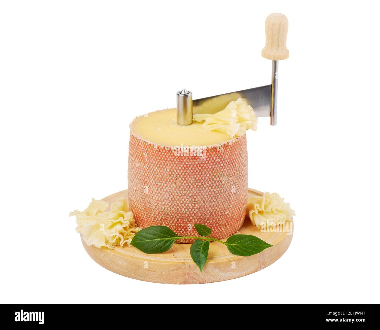 Testa di formaggio Tete de moine su Girolle isolato su sfondo bianco Foto  stock - Alamy