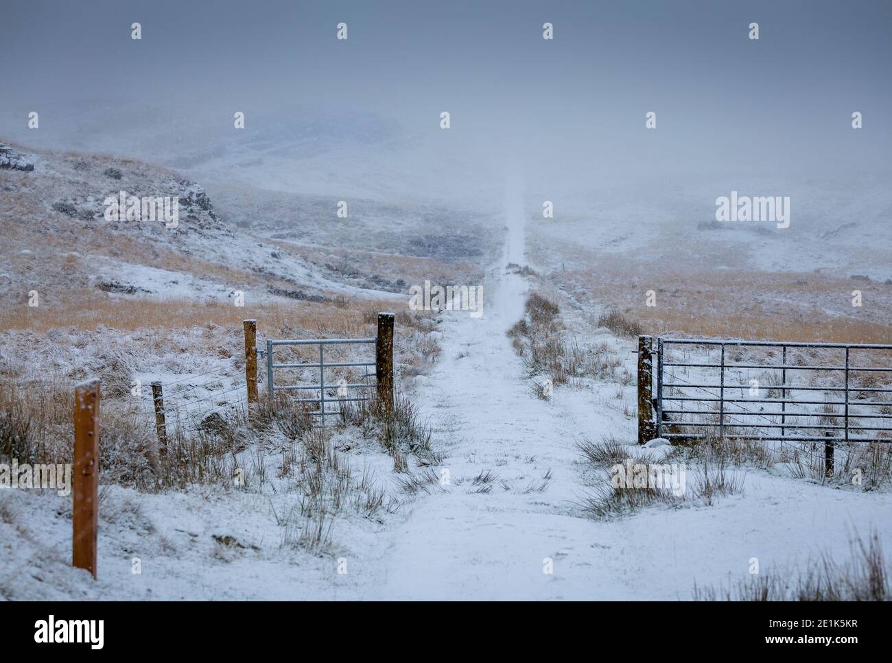 Il sentiero nella nube di neve Foto Stock