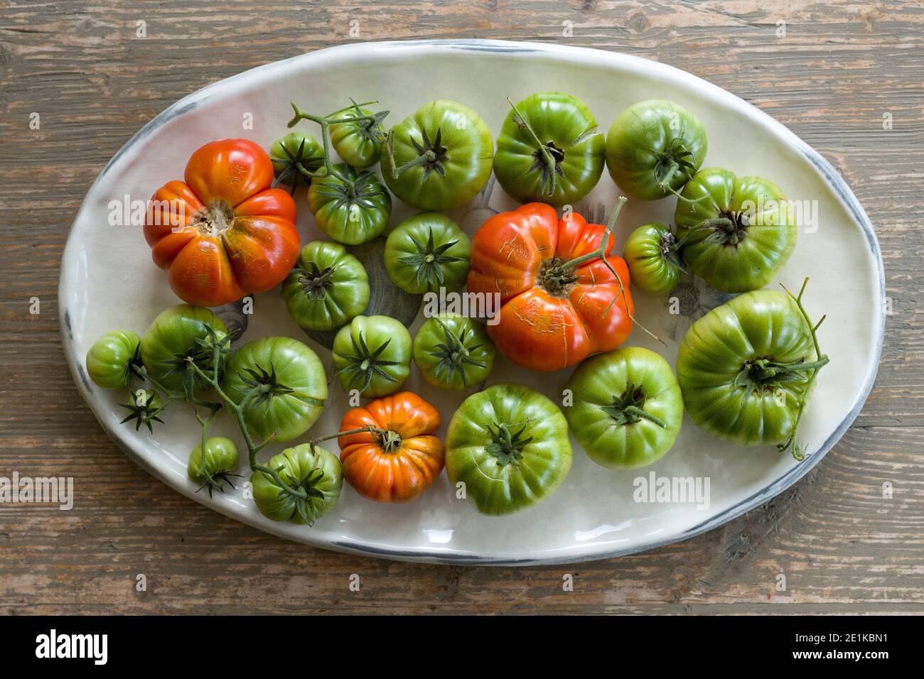 Colori rosso e verde impressionanti dei pomodori britannici coltivati in casa appena strappato da una vite e posto su una cina Piatto su un tavolo rustico in Inghilterra Foto Stock