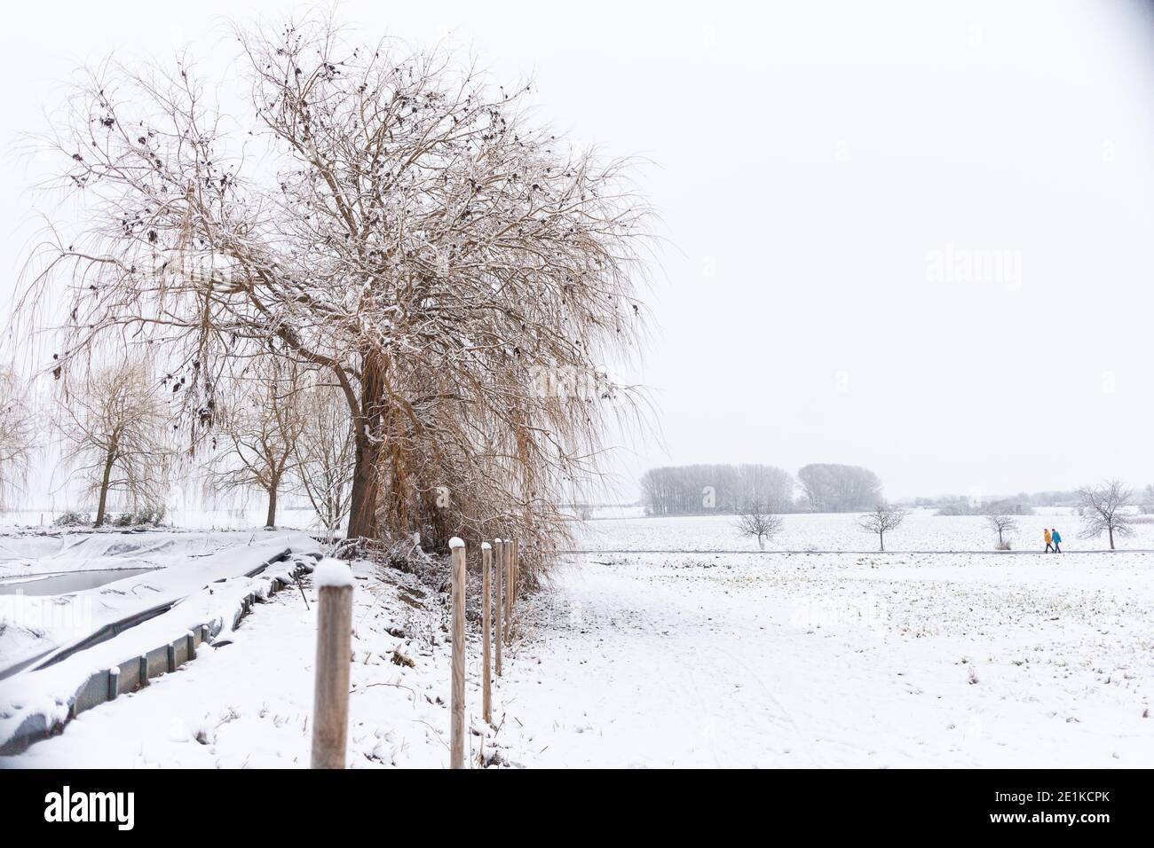 Winterausflug zur Bug Gleichen a Thueringen in der Flur von Wandersleben bei Gotha. Eine der Burgen der Drei Gleichen. Foto Stock