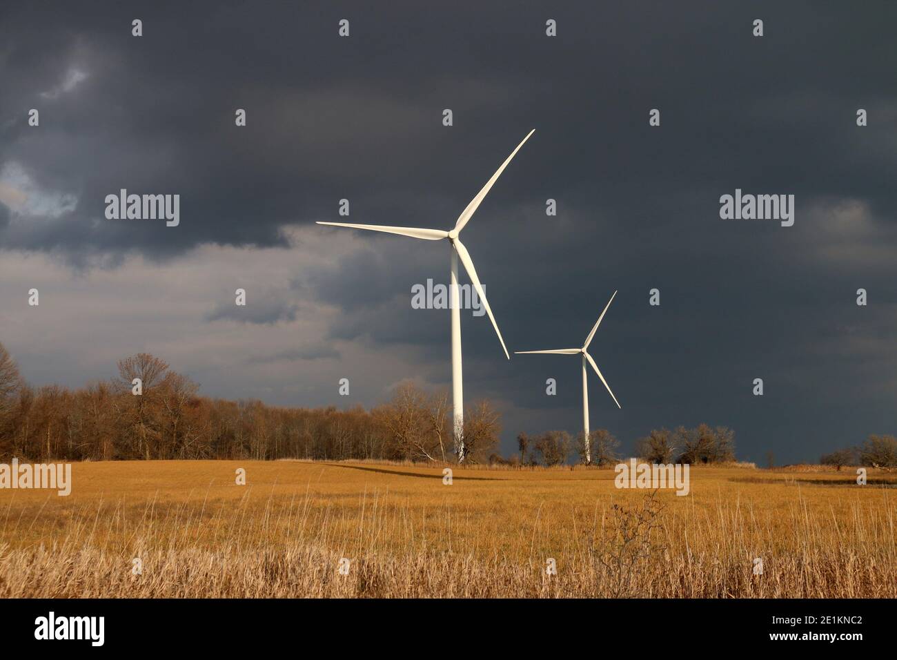 Turbine eoliche Amherst Island Ontario Foto Stock