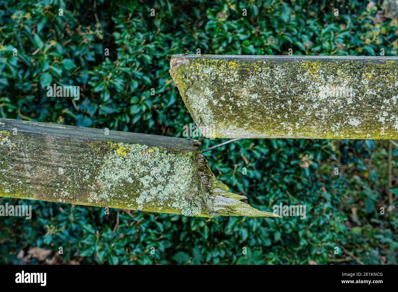 ringhiera recinzione in legno rotta Foto Stock
