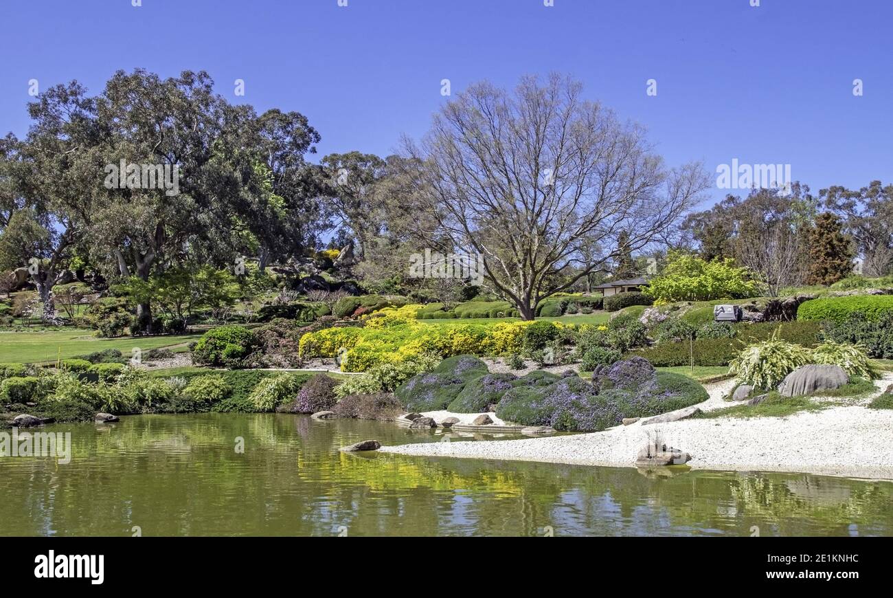 Bellissimo giardino in stile giapponese a Cowra NSW che mostra la cultura giapponese e piante ornamentali Foto Stock