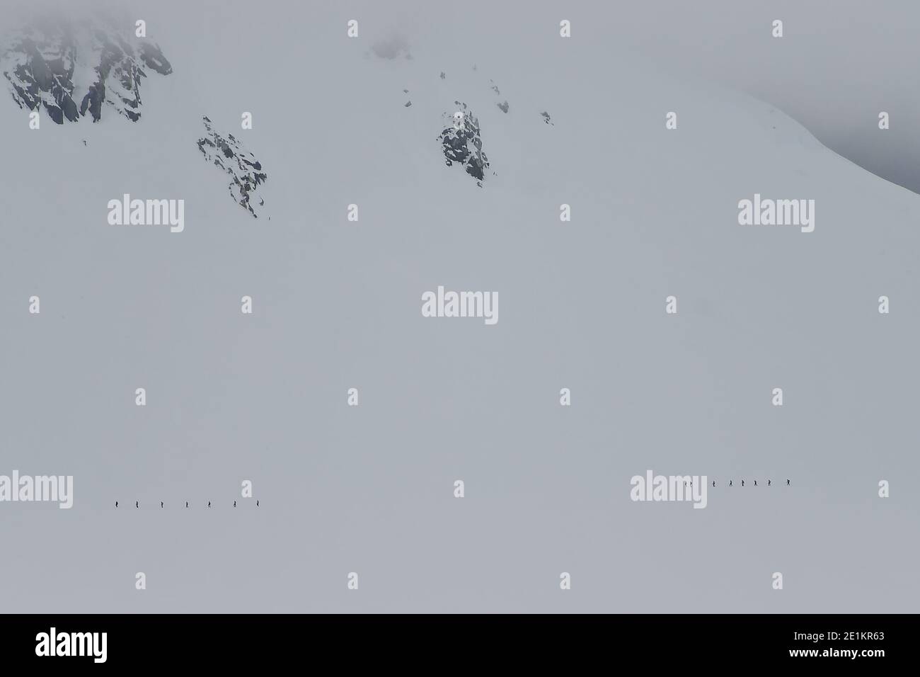 Un gruppo di turisti avventurosi che si arrampicano sullo sfondo delle immense vette innevate della Penisola Antartica in Antartide. Foto Stock