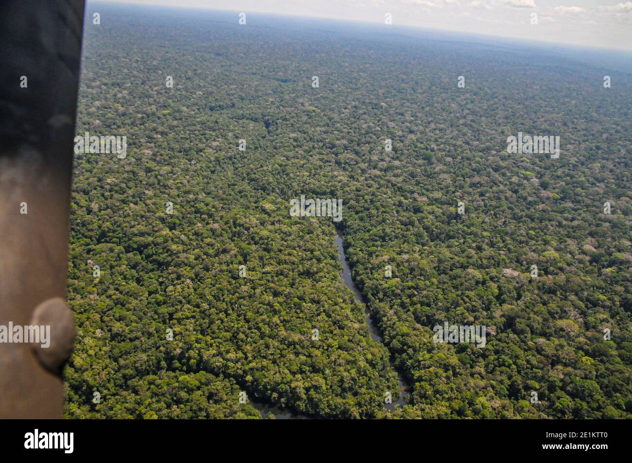 Vista aerea della foresta pluviale brasiliana Foto Stock