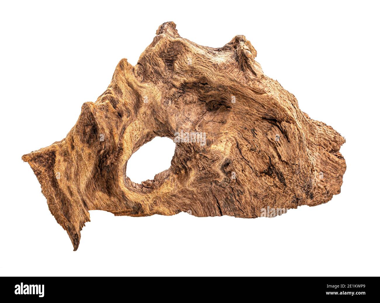 Pezzo di ben indossati driftwood su sfondo bianco Foto Stock