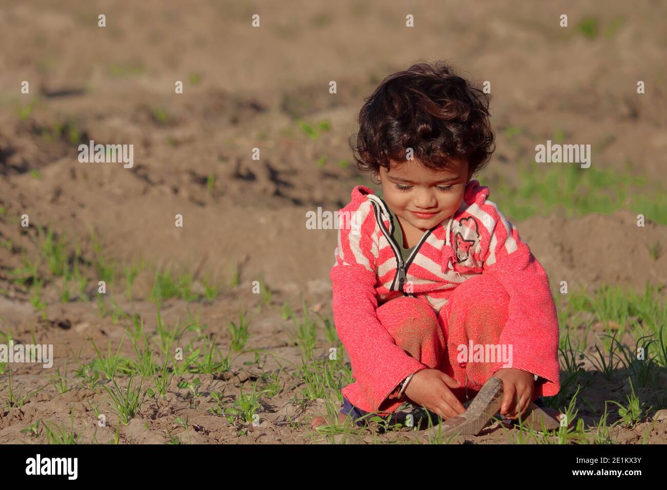 Un bambino indiano bello che distrugge le erbacce nel campo, coltivatore di bambino giovane, concetto per l'agricoltura Foto Stock