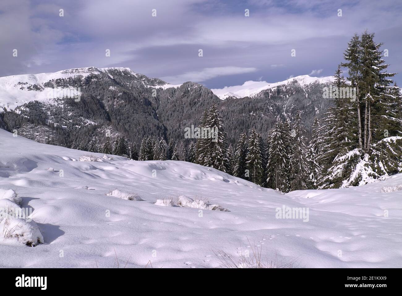 Paesaggio innevato, Romania 2021 Foto Stock