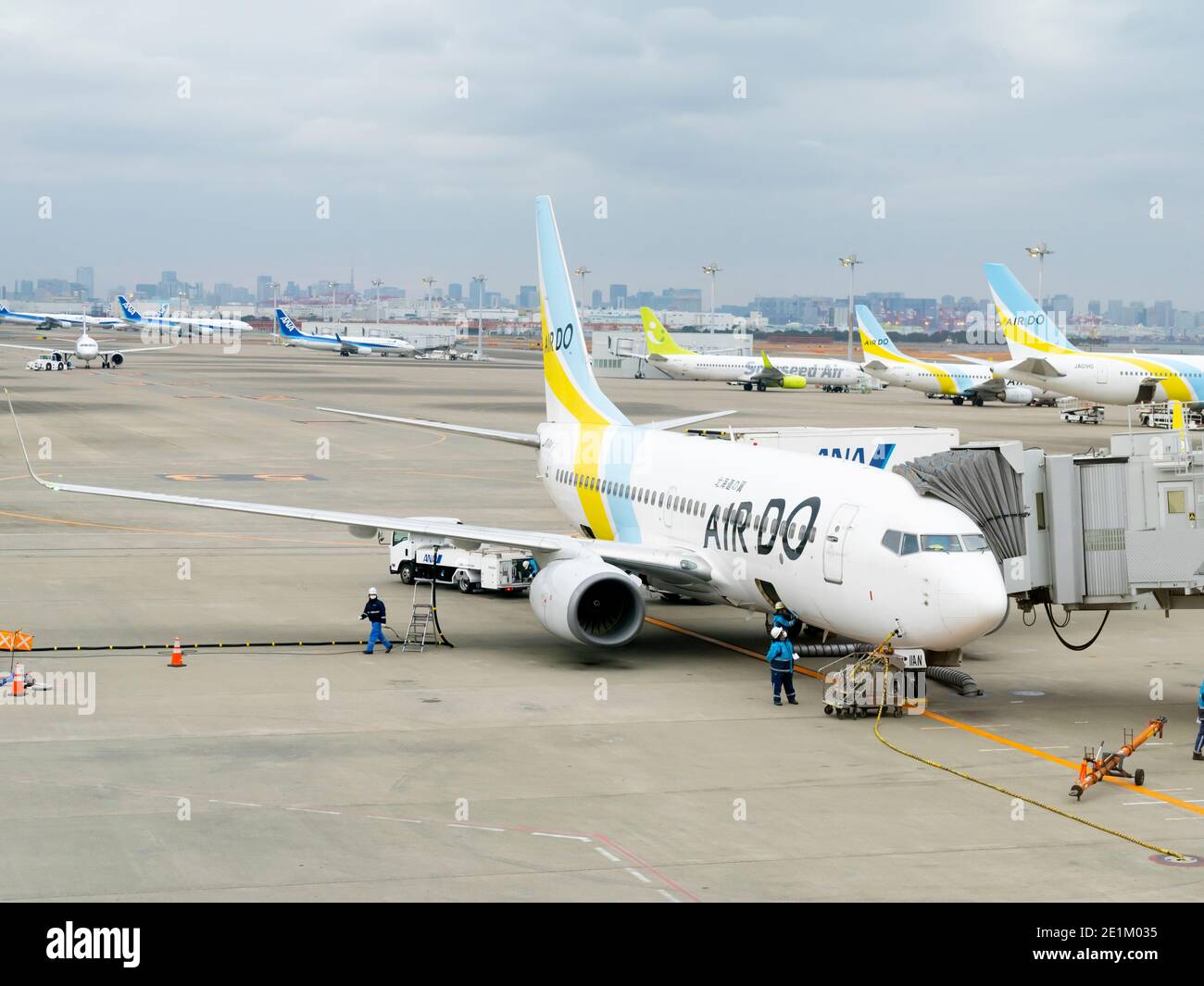 Air do (AIRDO) aerei regionali per Hokkaido, all'aeroporto di Haneda, Giappone. Foto Stock