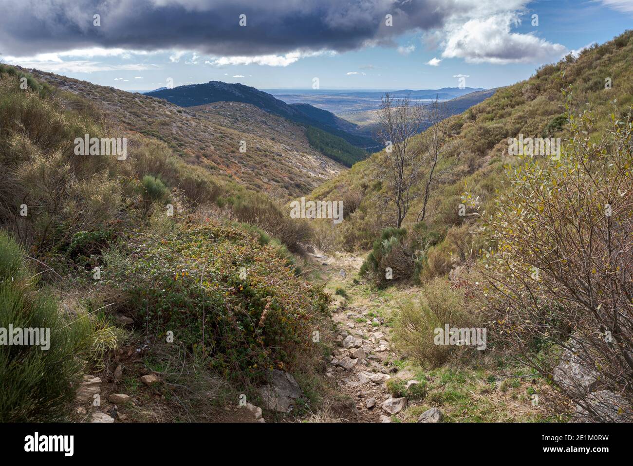 Vista sulla valle del torrente, Valle del Arroyo del Valle in spagnolo. Foto scattate nel comune di Butarviejo, provincia di Madrid, Spagna Foto Stock