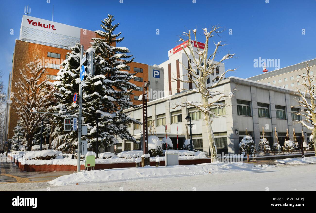Sapporo coperto di neve. Foto Stock