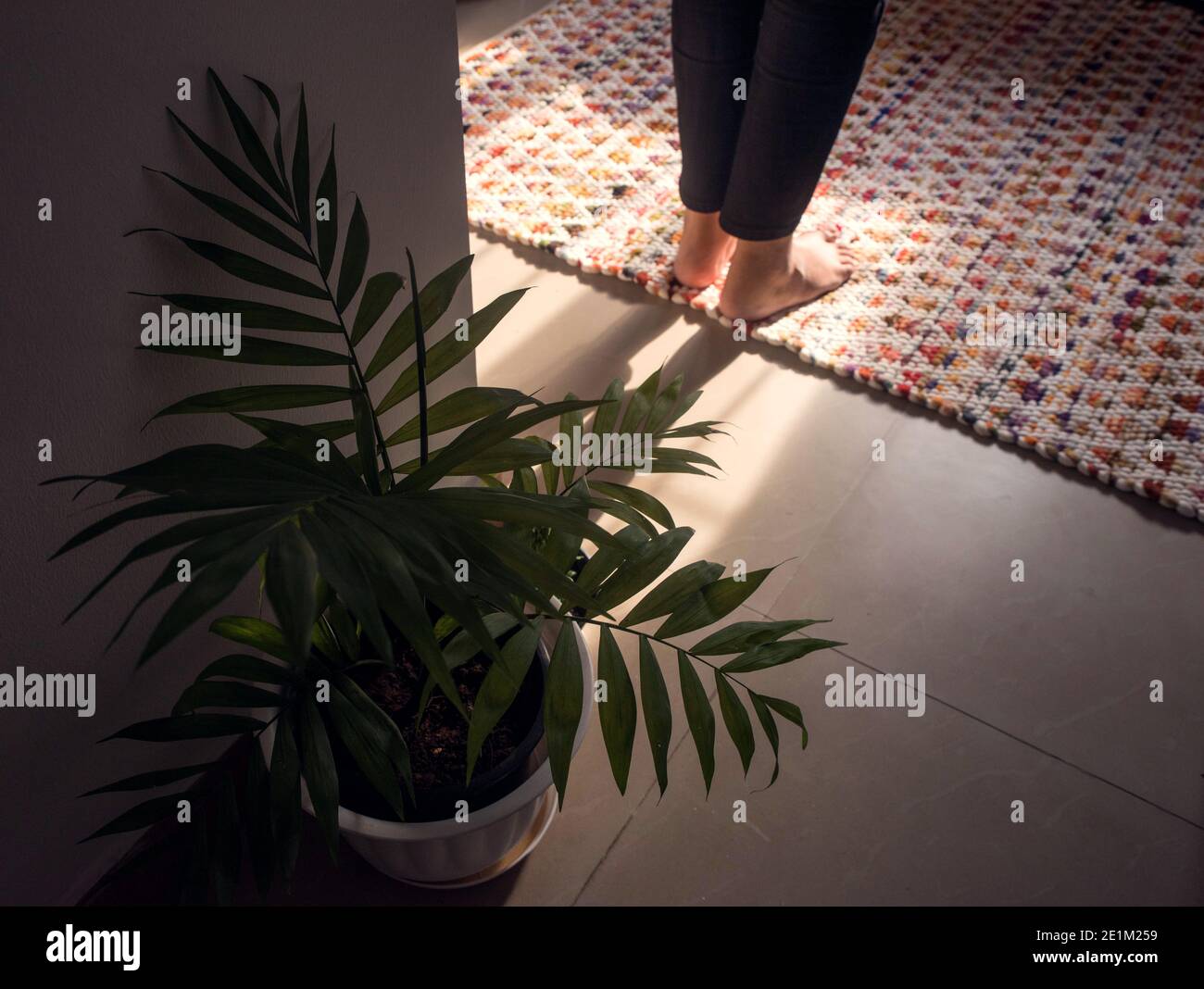 pianta interna e piedi femmina sani Foto Stock