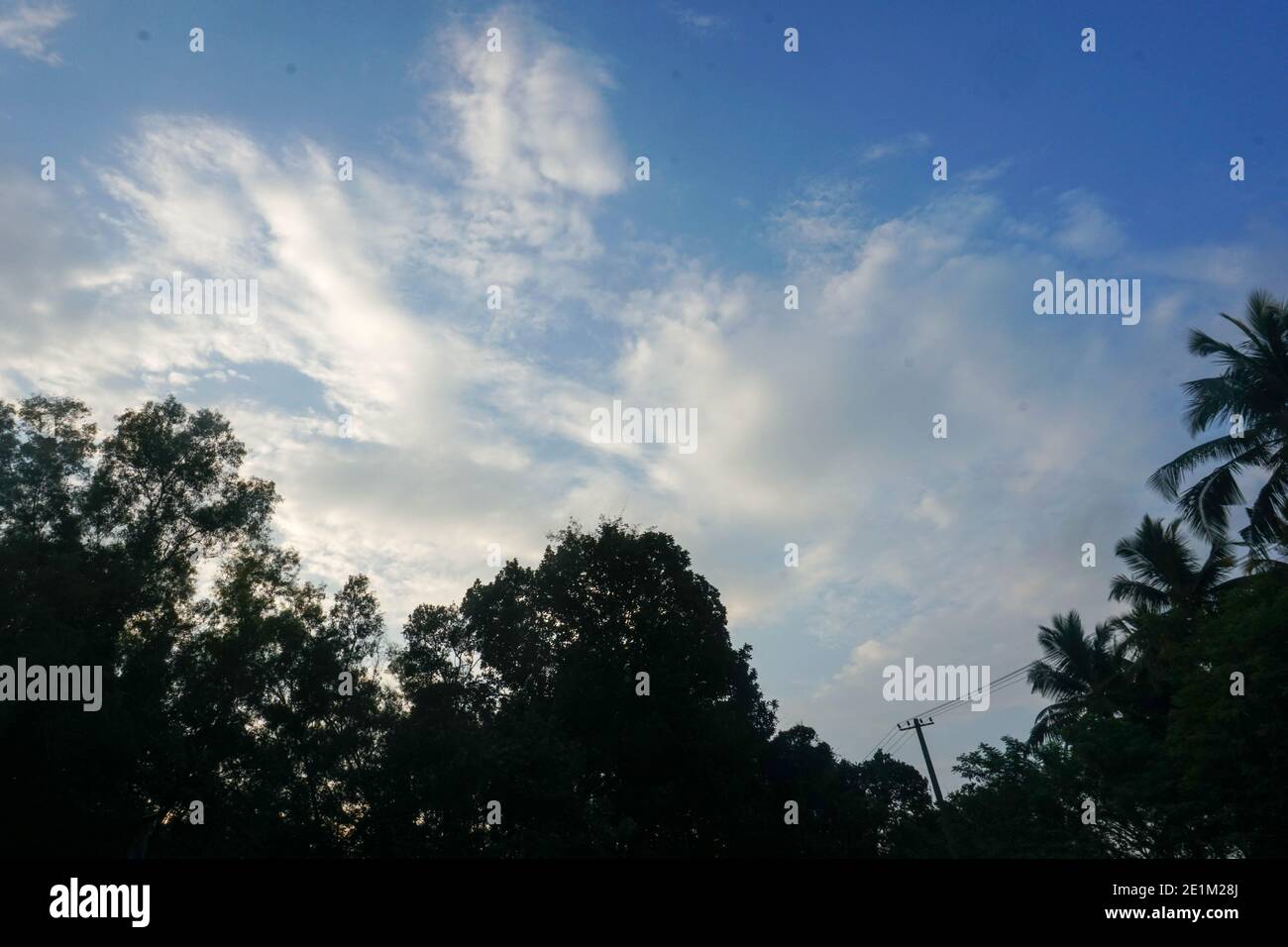 bellissima alba sulla foresta Foto Stock