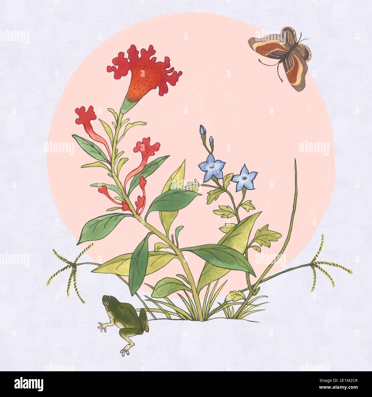 disegno asiatico con rana, fiori e farfalla Foto Stock