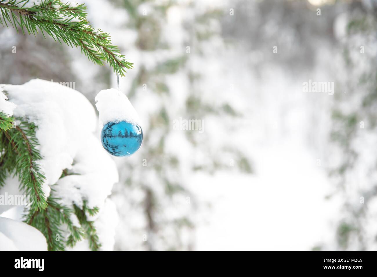 Primo piano su blu glitter palla su albero di natale all'aperto in il nuovo anno foresta Foto Stock