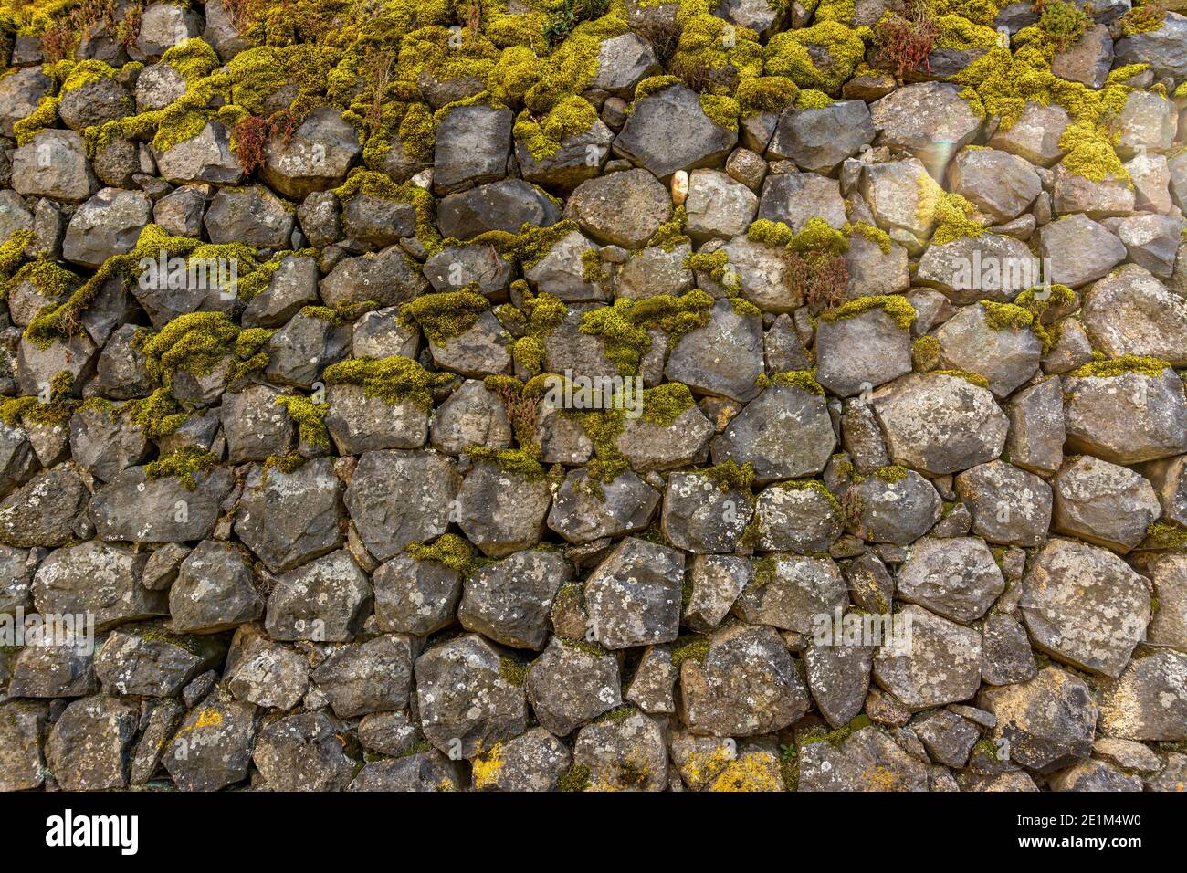 Unico muro in pietra naturale ricoperto di muschio in un ambiente all'aperto sereno durante le ore di luce diurna Foto Stock