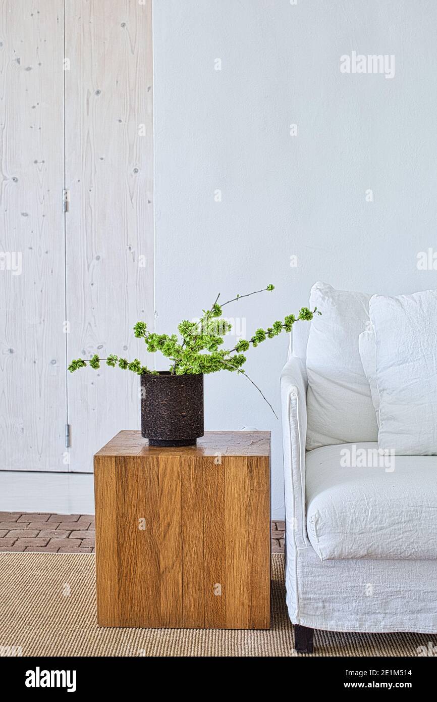 Portogallo / Alentejo/ Casa No Tiempo / divano bianco con pianta Foto Stock