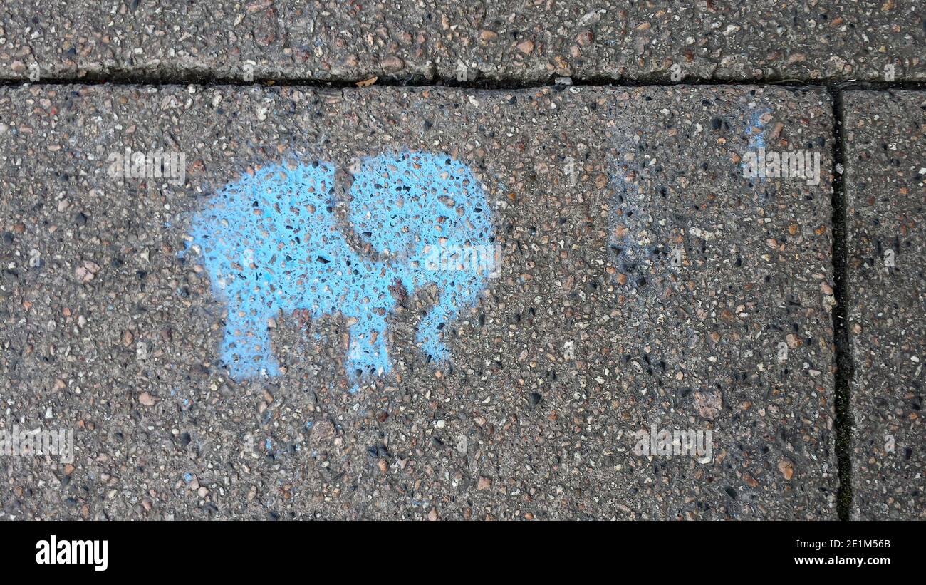 Elefante stencilato di colore azzurro dipinto su un marciapiede o un marciapiede Foto Stock