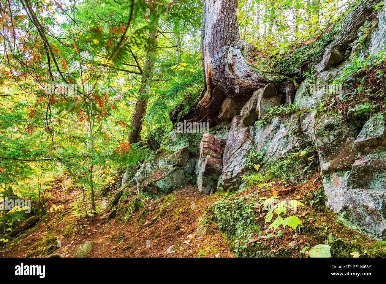 Cascate di Elliot Gull River Haliburton County Ontario Canada Ontario in autunno Foto Stock