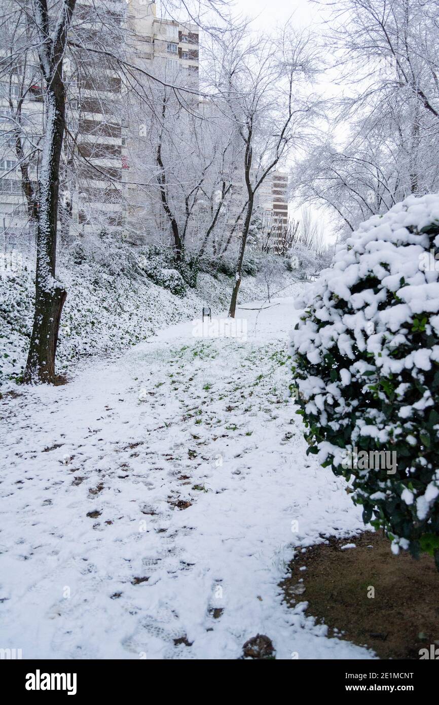 Vista sulla neve sui rami degli alberi e sulle strade di Madrid. Giornata fredda con molta precipitazione in forma solida. In Spagna Foto Stock