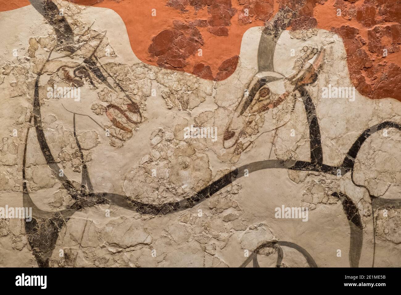 Akrotiri Bronze Age Antelope Wall fresco nel Museo Archeologico Nazionale di Atene, Grecia. Foto Stock
