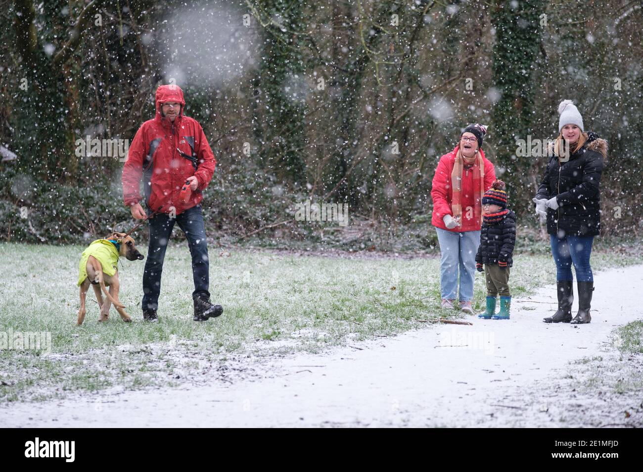 Un uomo che cammina i suoi cani si ferma a chiacchierare nella neve. Foto Stock