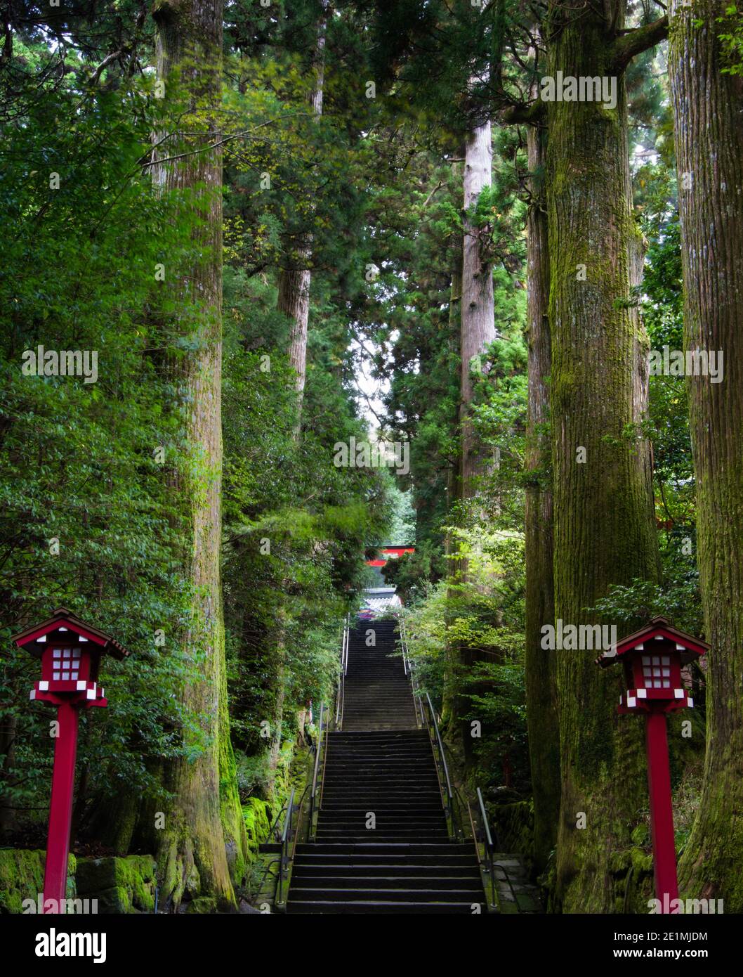 Vista mattutina della scalinata che conduce a Hakone Jinja (箱根神社), che si trova a metà del lato di una grande collina che confina con il bordo delle acque del lago Foto Stock