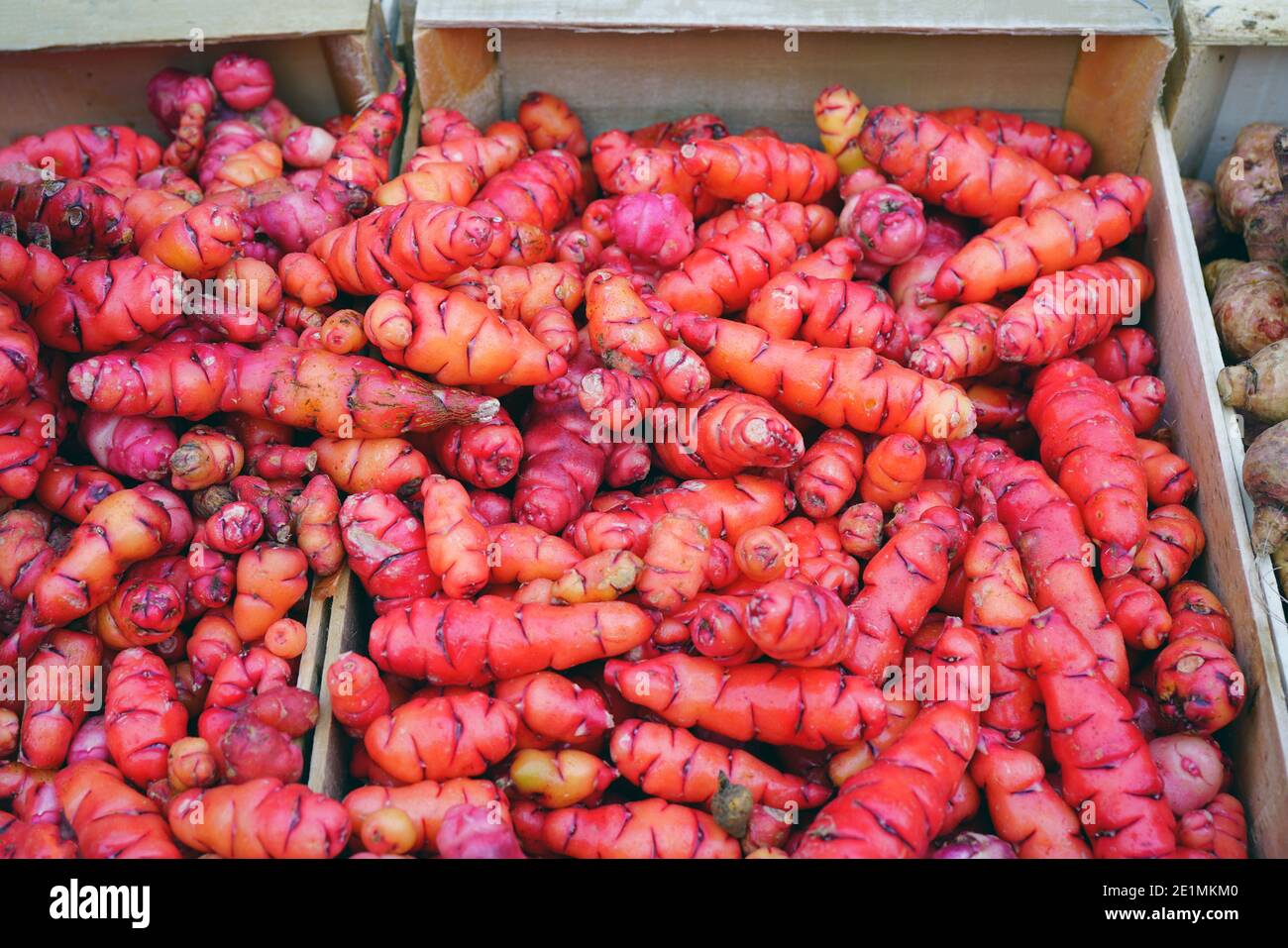 Colorata di rosso e di giallo radici di oca tubero dal Perù (Oxalis tuberosa) in corrispondenza di un francese di mercato degli agricoltori Foto Stock