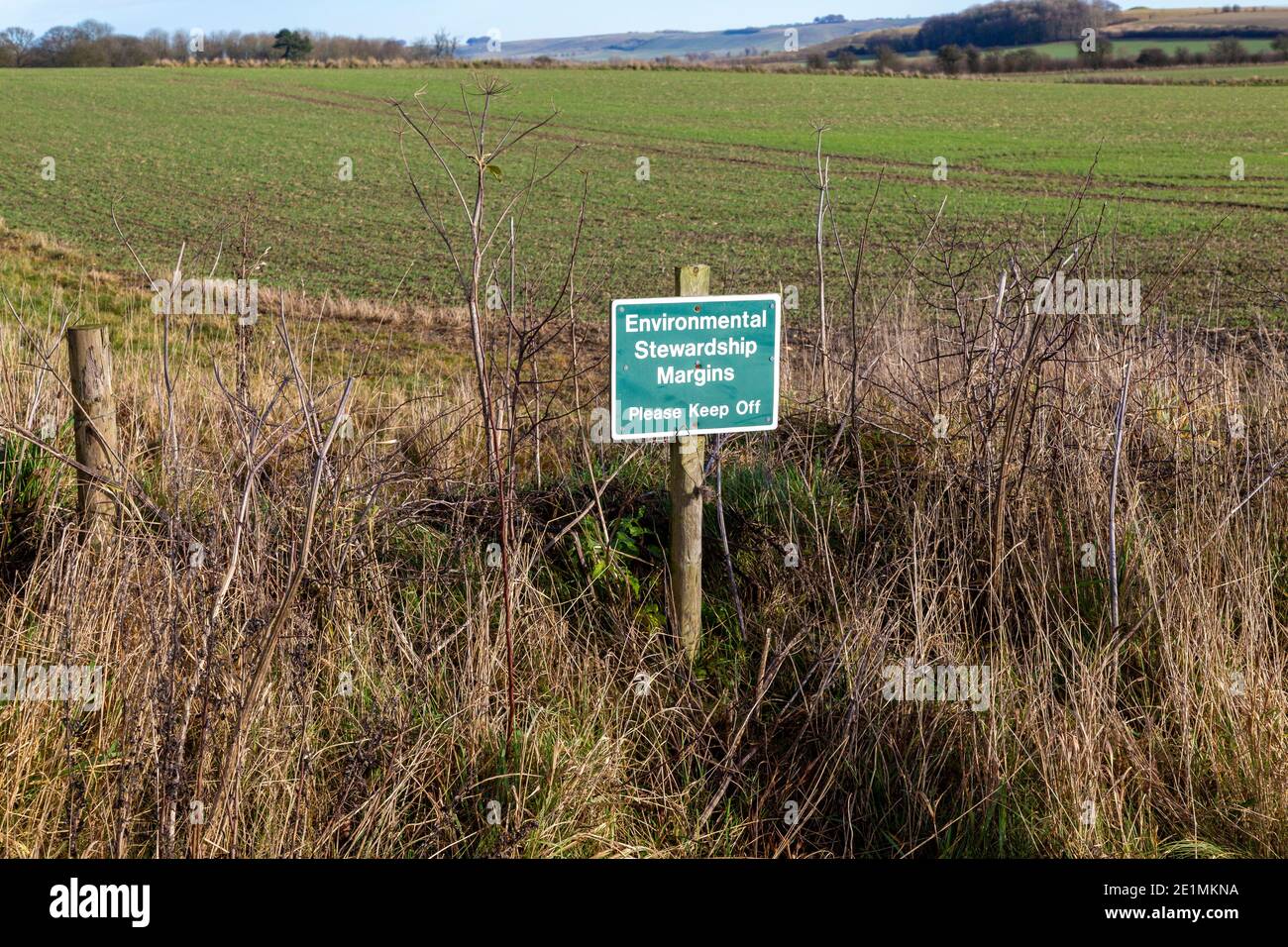 Environmental Stewardship Margins sign on Field Margin, Yatesbury, Wiltshire, Inghilterra, UK Foto Stock