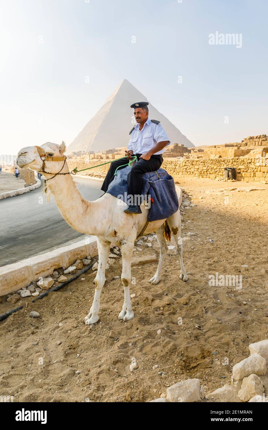 Poliziotto locale montato su un cammello nel complesso della Piramide di Giza (necropoli di Giza) di fronte alla Piramide di Khafre, il Cairo, Egitto Foto Stock
