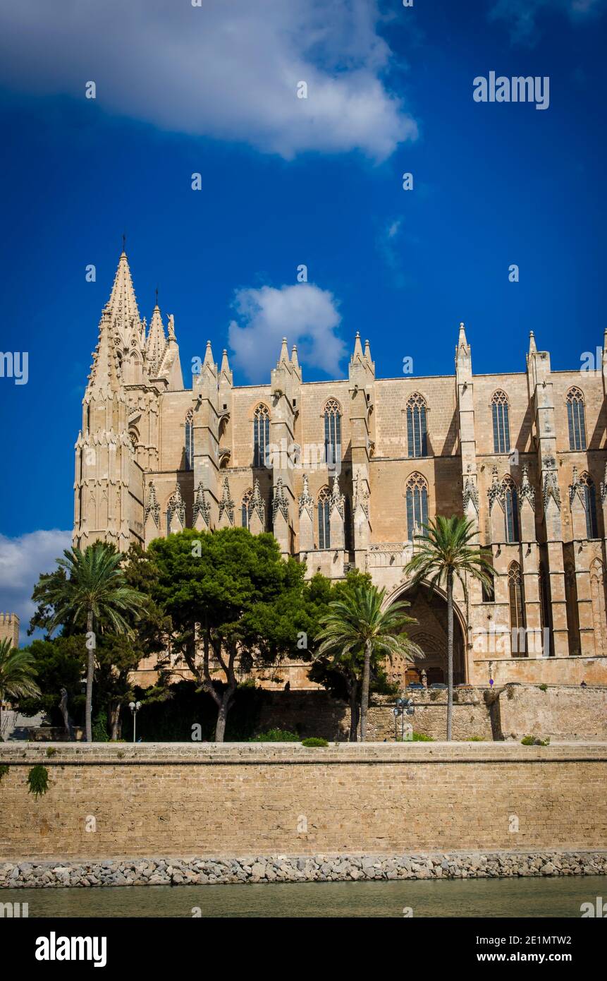 Cattedrale di Santa Maria di Palma, conosciuta anche come la Seu nella città di Palma, Maiorca, Spagna. Foto Stock