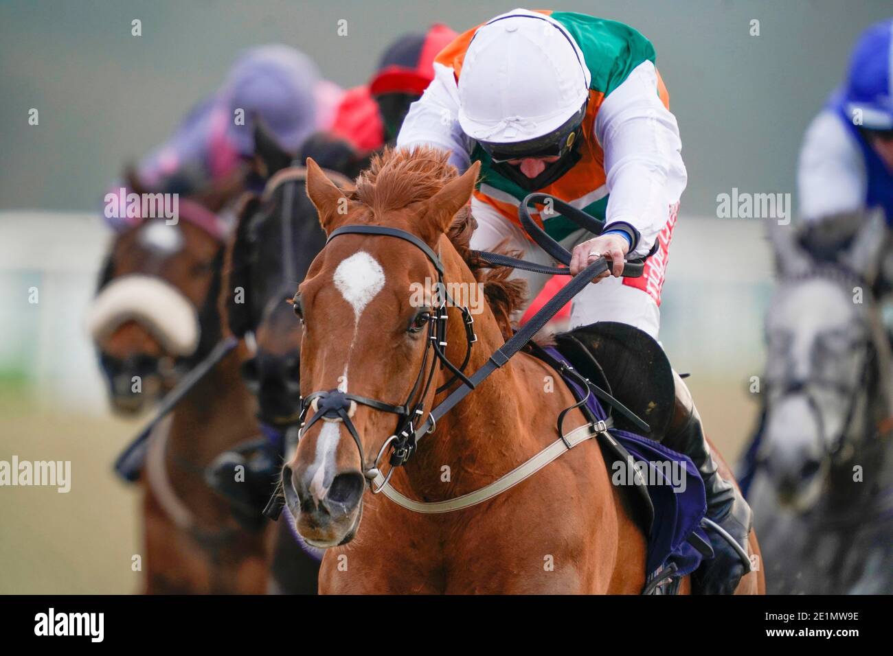 Jumping Cats guidato dal jockey Jamie Moore (centro anteriore) vince la visita attheraces.com 'Jumpers' Bumper' NH Flat Race presso l'ippodromo di Lingfield Park. Foto Stock Jumping Cats guidato dal jockey Jamie Moore (centro anteriore) vince la visita attheraces.com 'Jumpers' Bumper' NH Flat Race presso l'ippodromo di Lingfield Park. Foto Stock