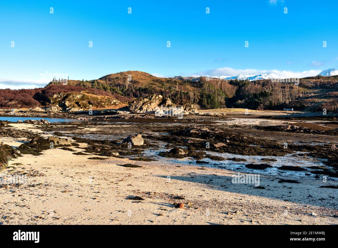 SCOZIA WEST COAST HIGHLANDS KINTAIL SANDAIG SANDY BEACH ALLA LUCE DEL SOLE A BASSA MAREA NEVE COLLINE COPERTE DI SKYE Foto Stock