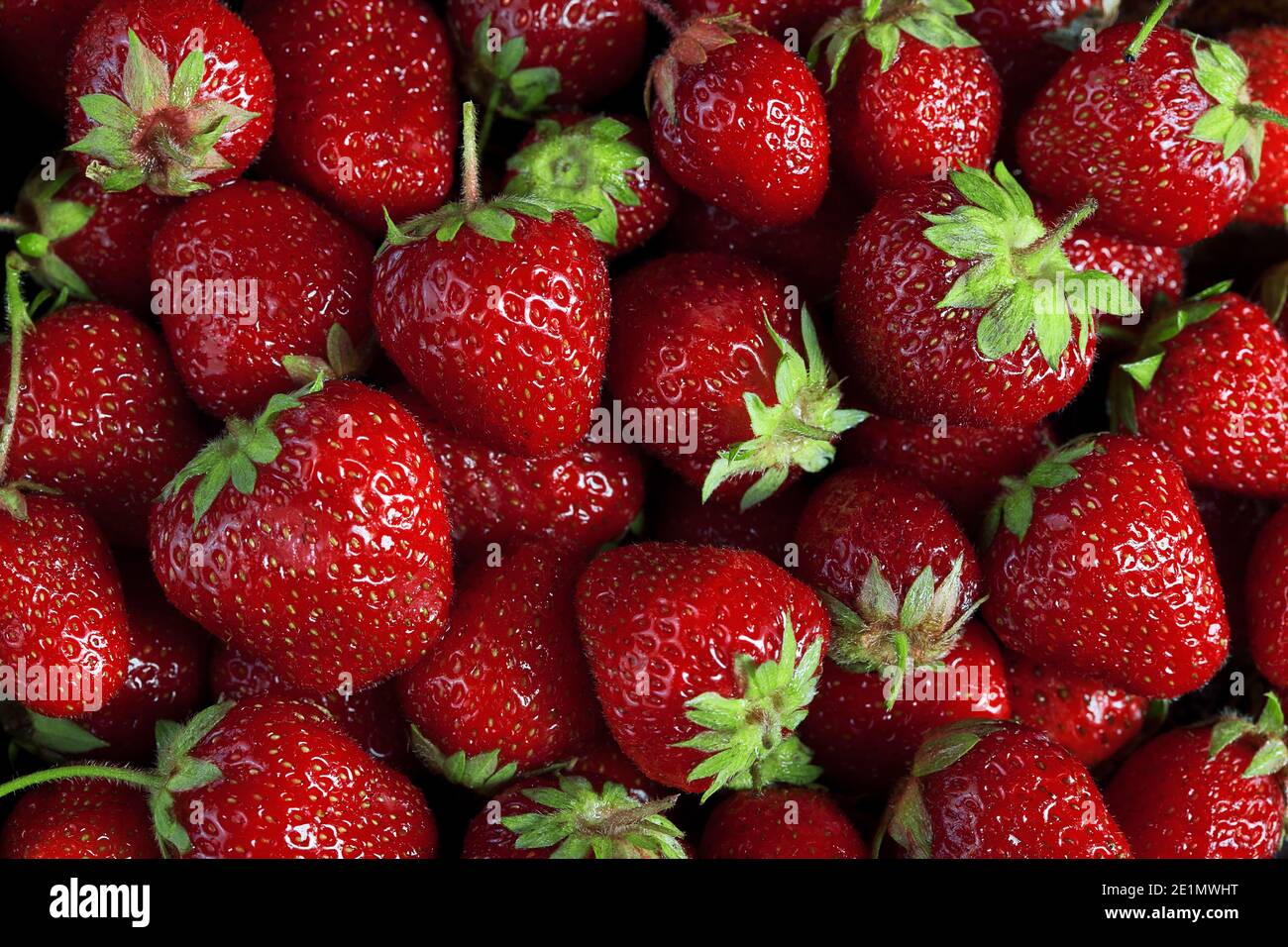 foto texture di molti fresco grande fondo di fragole mature, nessuno Foto Stock