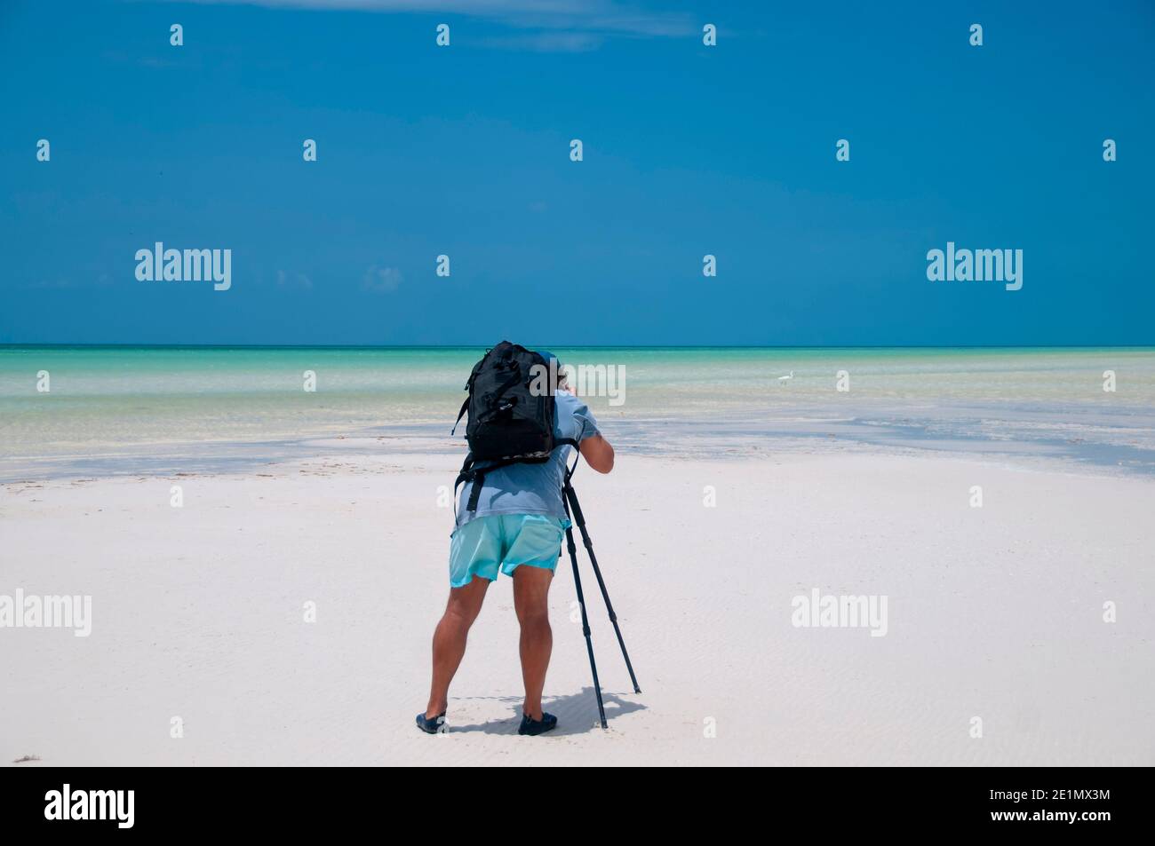 Un fotografo con la sua fotocamera scatta fotografie di paesaggi a bassa marea sull'isola di Holbox, Messico. Sullo sfondo il cielo blu e un airone Foto Stock