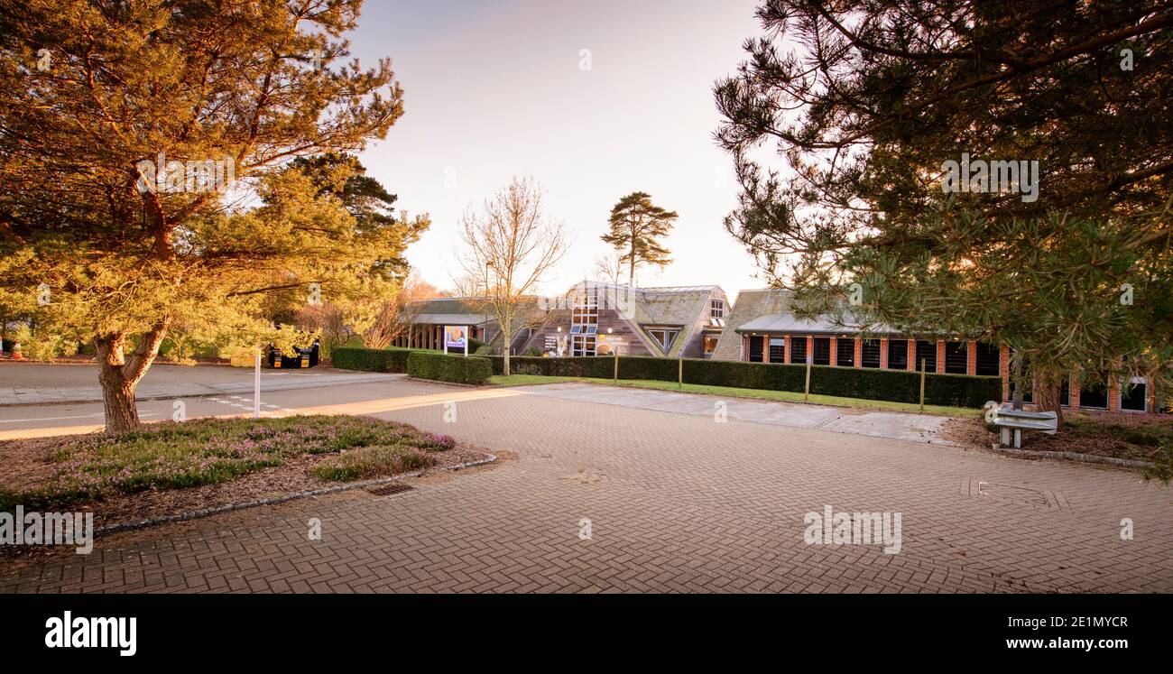 La sede della Charity Cats Protection nella Ashdown Forest UK. Foto Stock