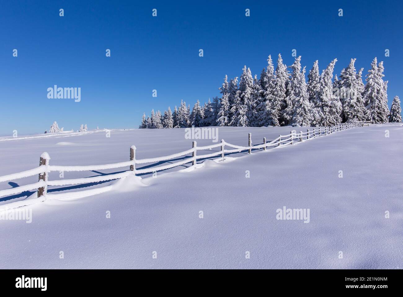 Idilliaco paesaggio invernale con alberi e montagne innevate Foto Stock