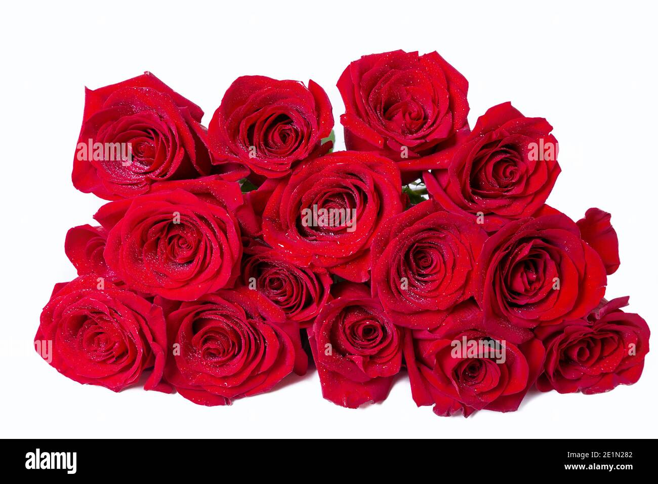 Bouquet di rose rosse (borgogna) su sfondo bianco. Posiziona per il testo.  Primo piano Foto stock - Alamy