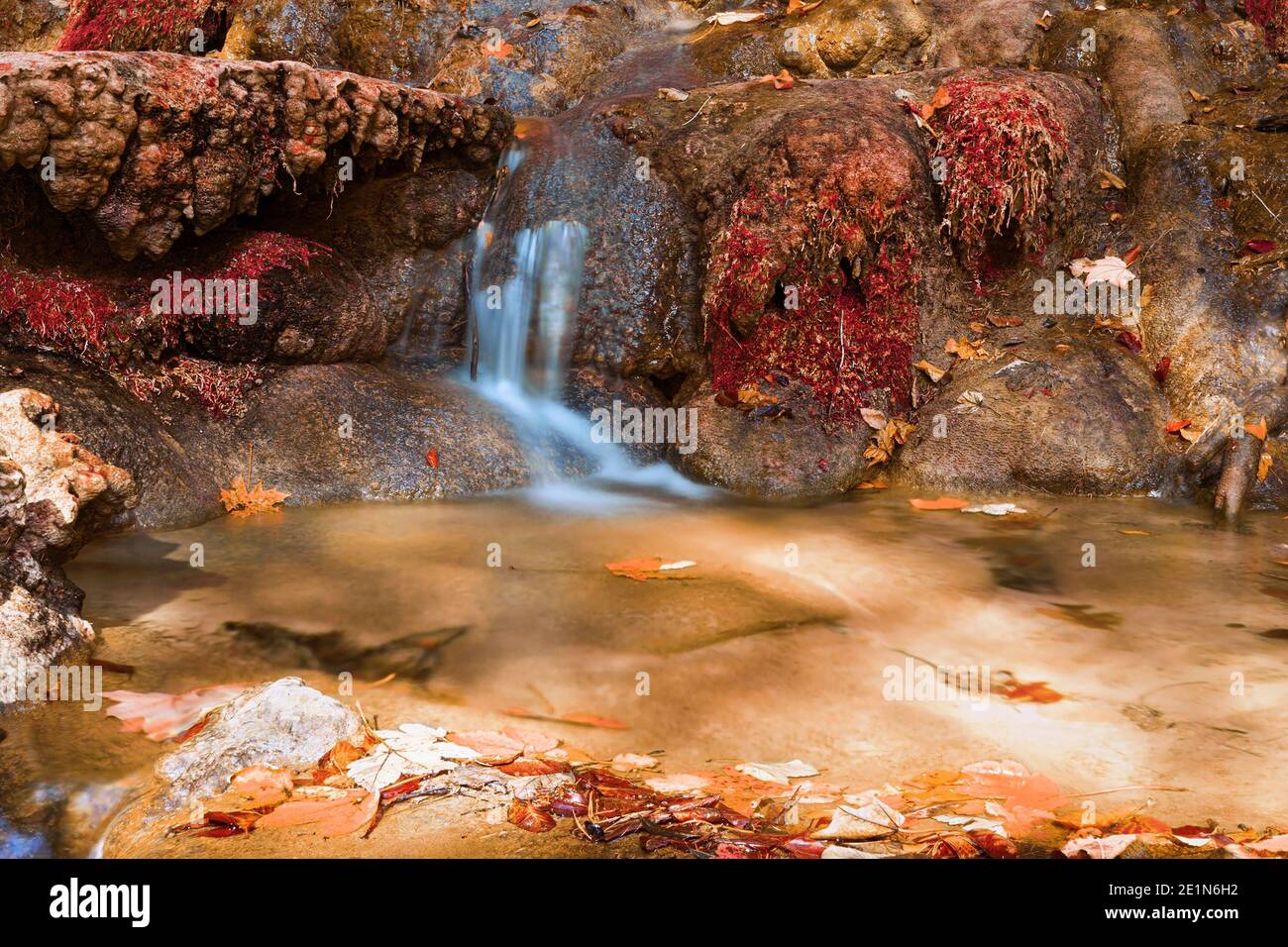 Piccola cascata sul torrente di montagna, Parco Naturale Afuseni Foto Stock