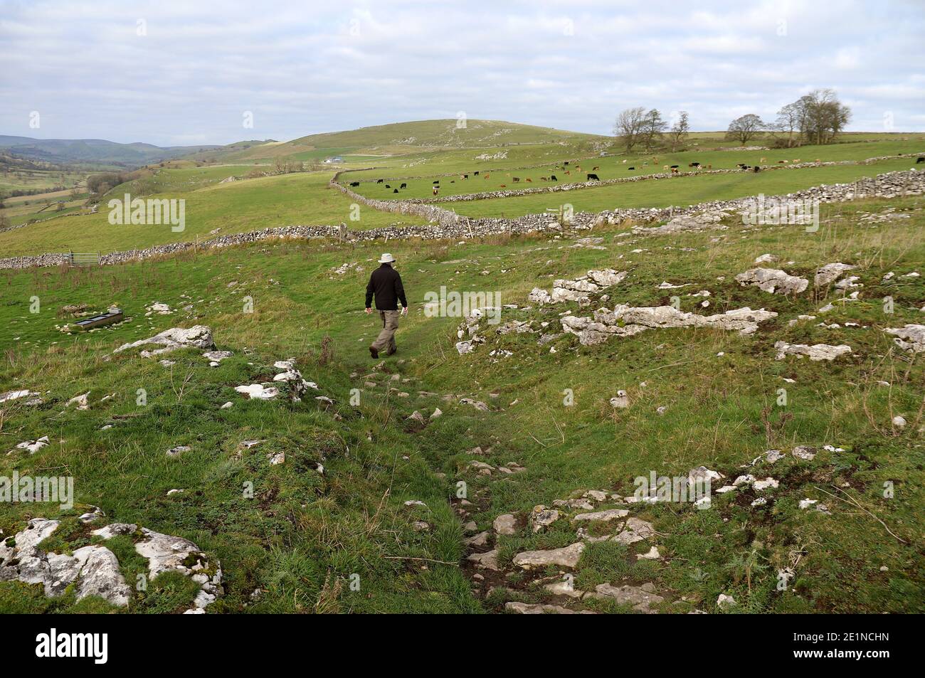 Camminando su un sentiero attraverso i campi sopra la valle di dove Vicino a Hartington nel Parco Nazionale del Peak District Foto Stock