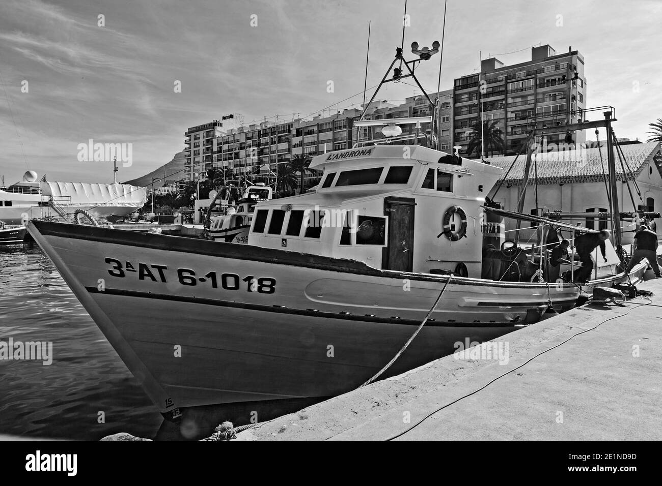 La pesca in barca sulla banchina del porto di pesca di Dénia in Costa Blanca, Spagna Foto Stock