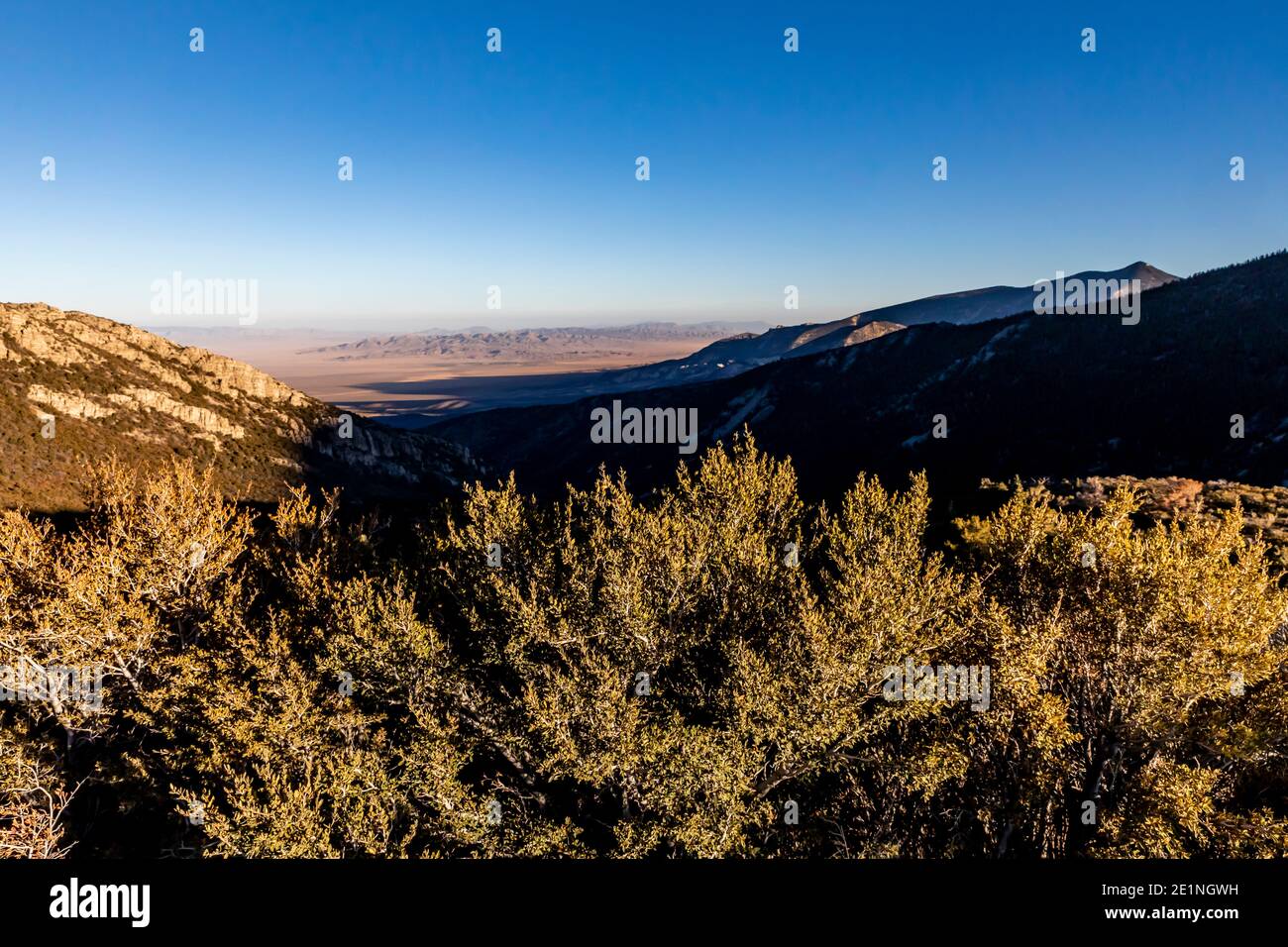 Vista da Mather Overlook nel Great Basin National Park, Nevada, USA Foto Stock