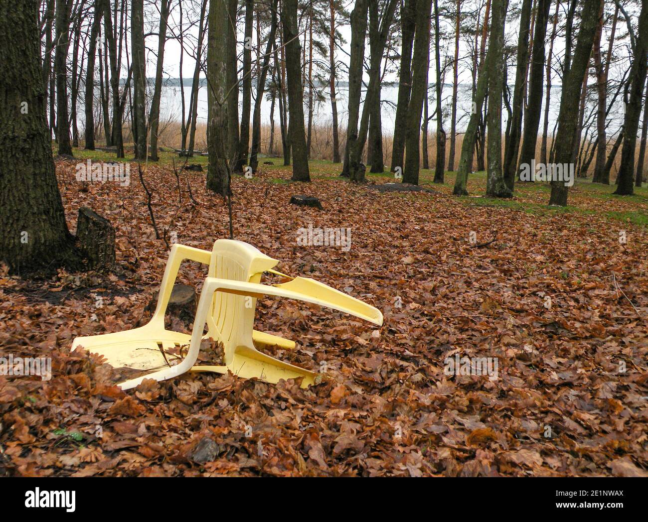 Le preoccupazioni ambientali derivanti dall'inquinamento delle foreste e di altri ambienti naturali. Sedia di plastica gettata nella foresta dal lago e altre materie plastiche t Foto Stock