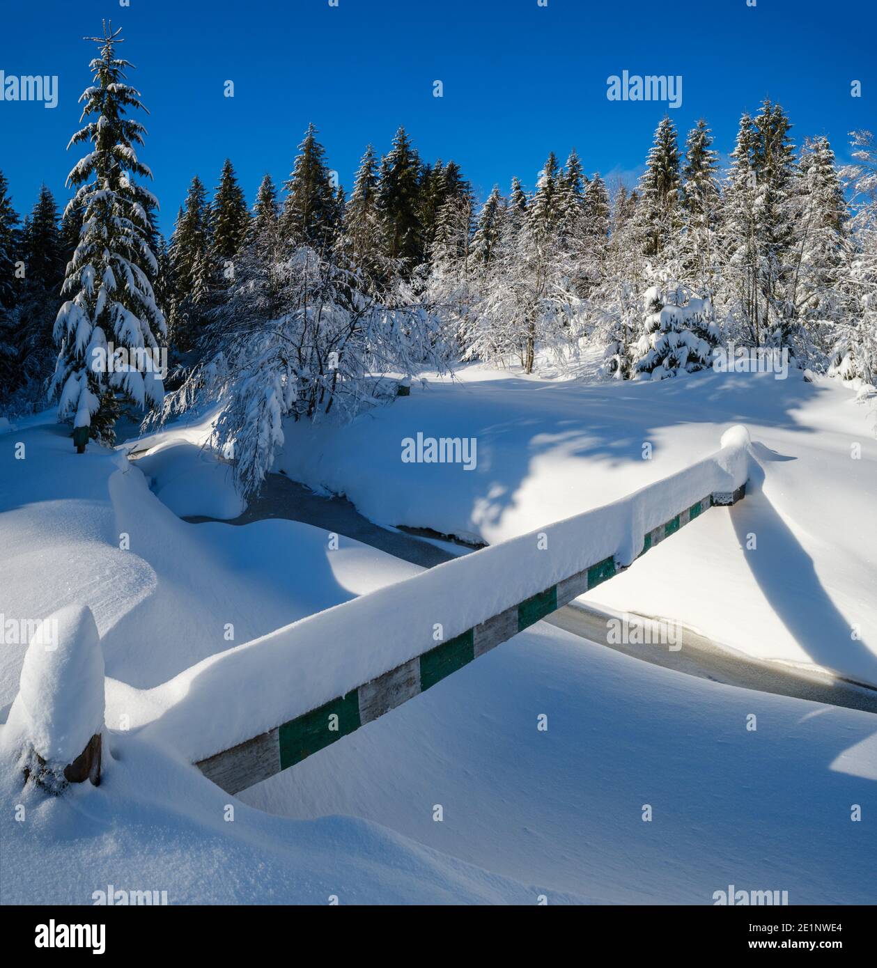 Montagna alpina innevata foresta di abeti invernali con nevicate e surgelate piccolo ruscello Foto Stock