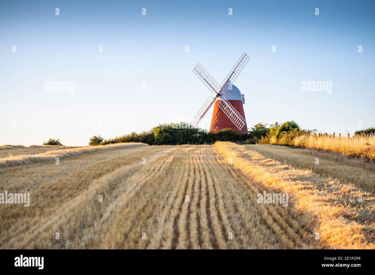 Mulino a vento di Halnaker durante la luce calda della sera sulla cima di Halnaker Hill nel Sussex occidentale, Inghilterra, Regno Unito Foto Stock