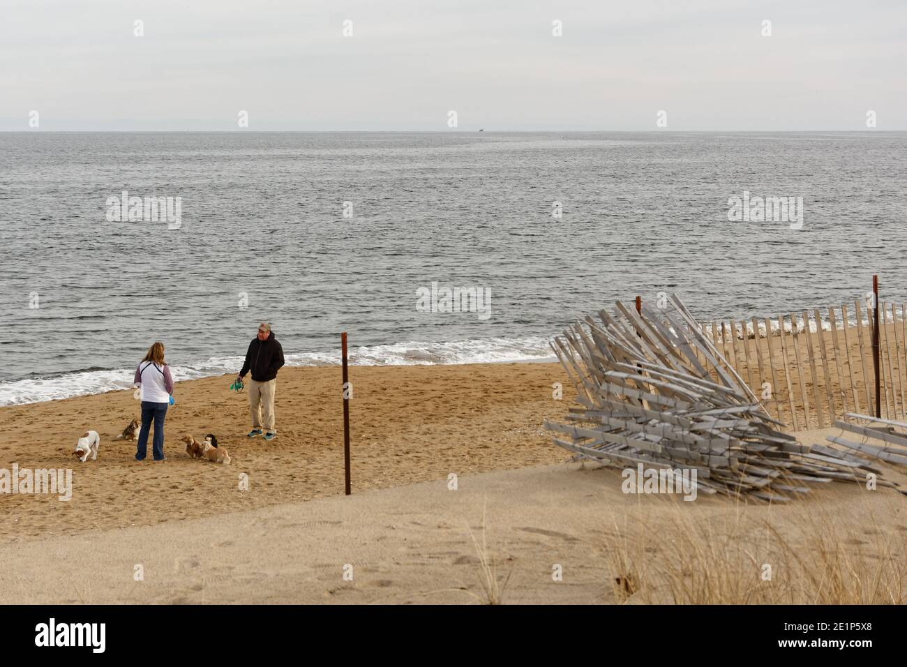 Salisbury Beach, Massachusetts - due escursionisti di cani con animali domestici al guinzaglio si ergono sotto le dune di sabbia in una serata invernale sovrastante. Una recinzione di tempesta di legno e filo i Foto Stock