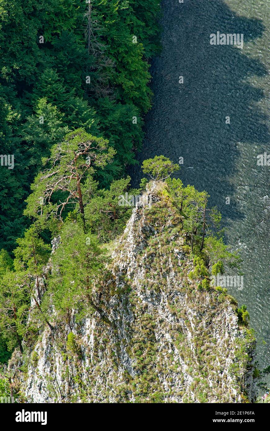 Roccia appuntita chiamata Sugar Head - primo piano visibile dalla cima del monte Sokolica. Sullo sfondo, sulla destra, un frammento del fiume Dunajec. Foto Stock