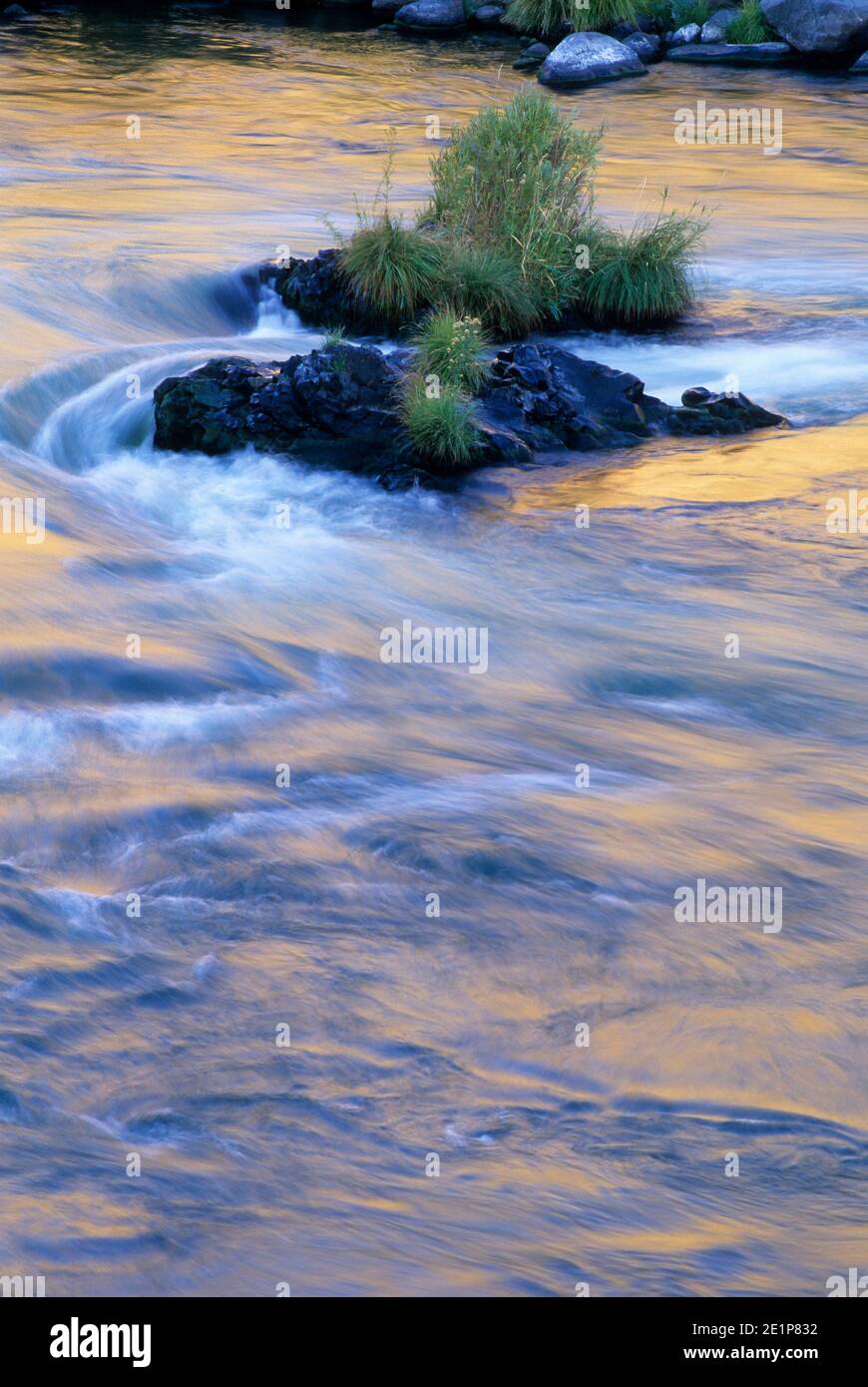 Fiume Deschutes la mattina con il bagliore, Deschutes Wild & Scenic River, inferiore Deschutes National paese indietro Byway, Oregon Foto Stock