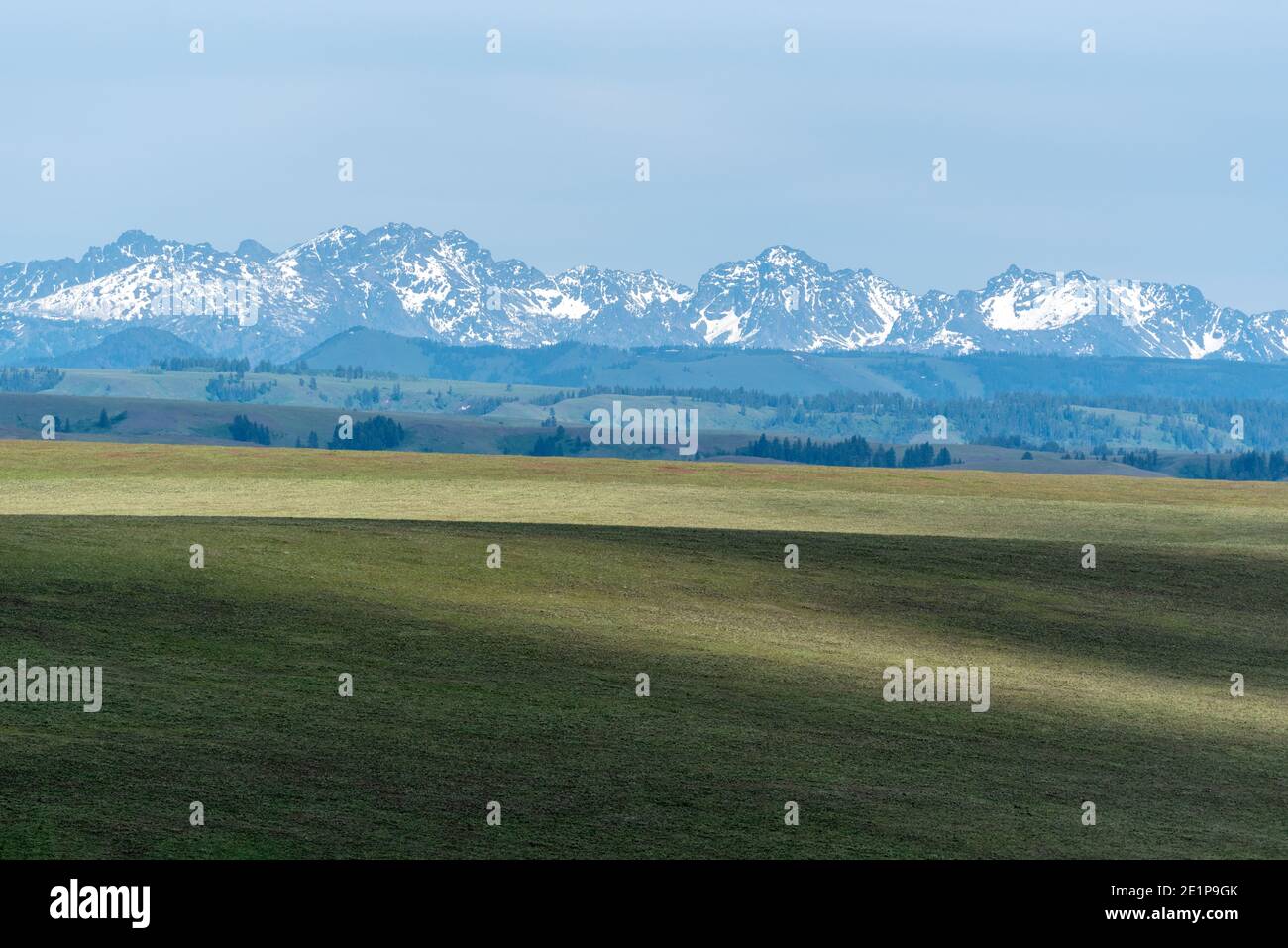 Le sette Devils Mountains dell'Idaho si innalzano dietro la Zumwalt Prairie dell'Oregon. Foto Stock