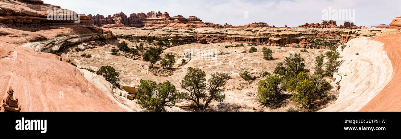 Il distretto di Needles, il Canyonlands National Park, Utah, Stati Uniti. Foto Stock